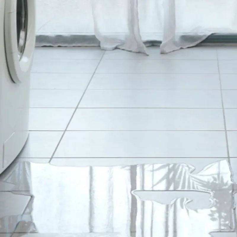 Appliance Leak Cleanup in Southern Shops, SC