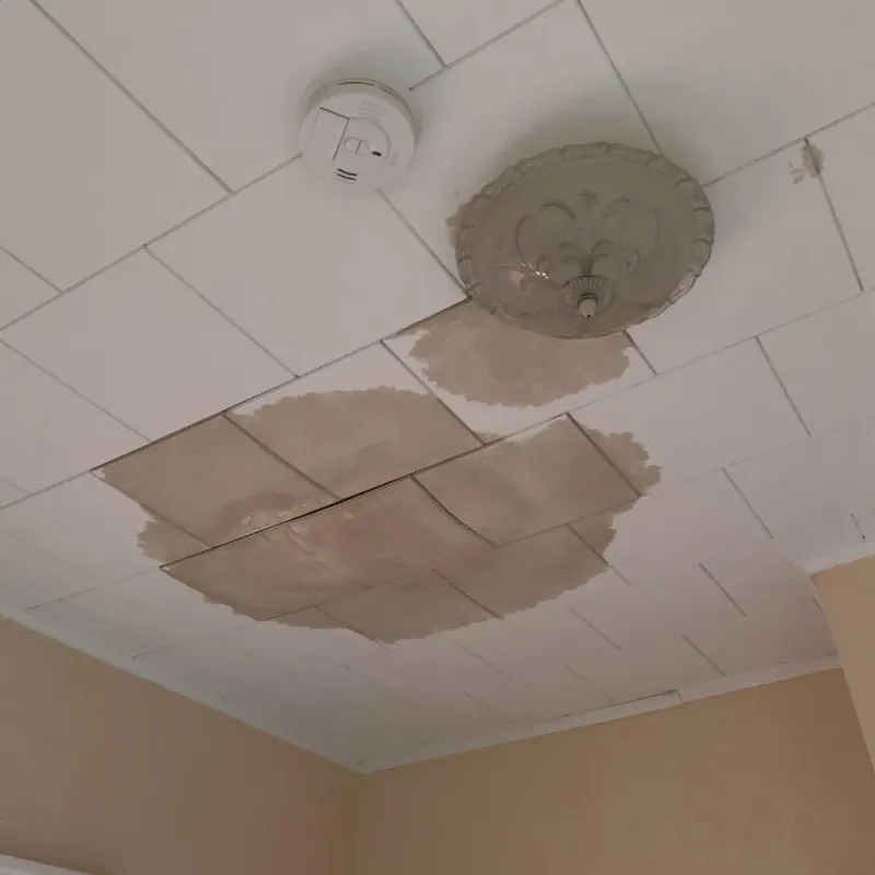 Ceiling Water Damage Repair in Southern Shops, SC